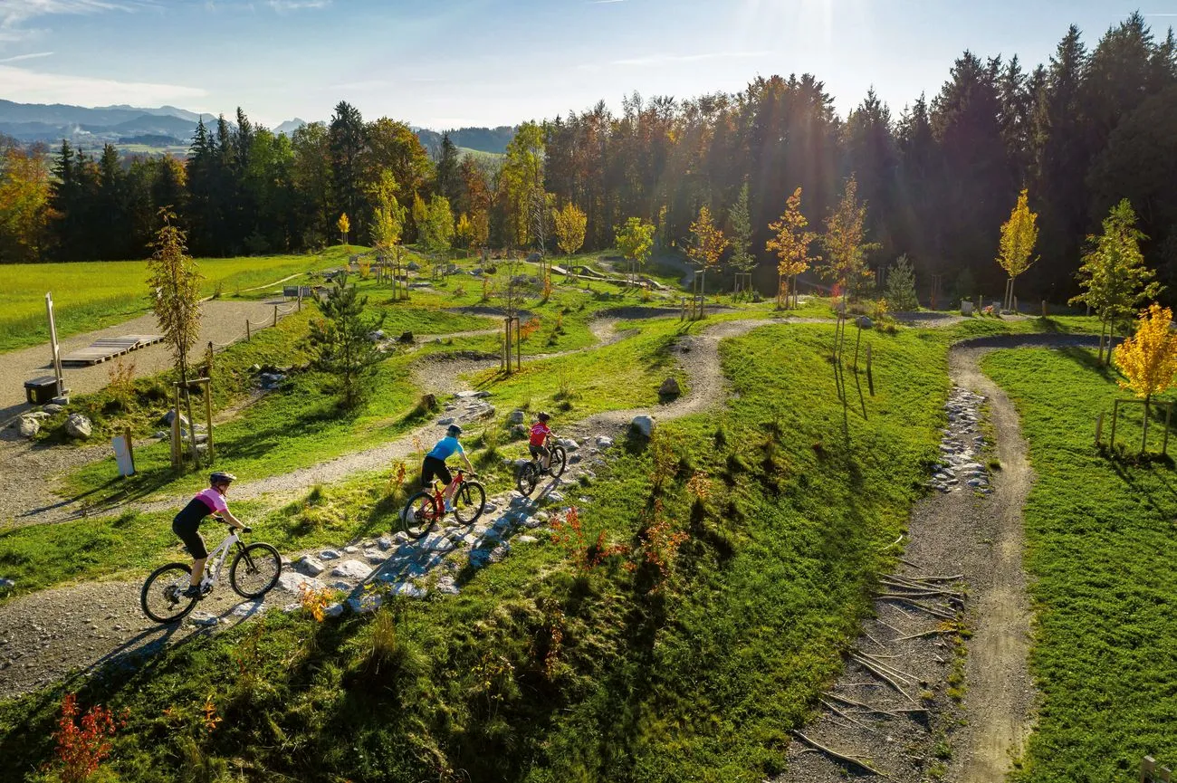 Mountainbike Strecke des Swiss Bike Parks
